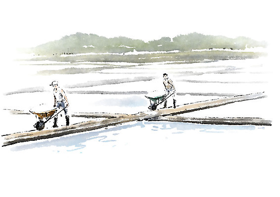 전신 PSD 남자 일러스트 캘리그라피 자연 붓터치 사람 풍경 성인 두명 수레 작업 운반 번짐 소금 염전 외발수레 성인남자만 국내일러스트 카트 시설 생태계 남자만 성인만 파일형식 효과