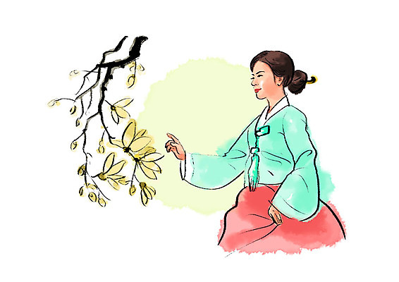 PSD 한국전통 응시 여자 일러스트 캘리그라피 붓터치 한명 미소 사람 손짓 상반신 성인 한국인 한복 번짐 꽃가지 성인여자한명만 국내일러스트 1 전통 시선 꽃 모션 한국 표정 동양인 나뭇가지 전통의상 여자한명만 성인여자만 파일형식 효과