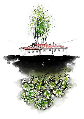 PSD 나무 밭 일러스트 캘리그라피 자연 붓터치 주택 풍경 사람없음 전선 농촌 시골 배추 시골집 번짐 배추밭 국내일러스트 식물 농업 채소 건물 생태계 파일형식 효과