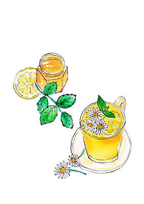 PSD 일러스트 캘리그라피 붓터치 유리병 나뭇잎 사람없음 머그컵 전통차 잼 번짐 들국화 레몬청 수제청 국내일러스트 꽃 음식 잎 병_용기 컵 차_음료 소스_음식 파일형식 과일청 효과