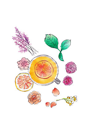 PSD 꽃잎 일러스트 캘리그라피 붓터치 나뭇잎 사람없음 전통차 찻잔 자몽 슬라이스 번짐 국내일러스트 꽃 잎 과일 잔 차_음료 파일형식 효과