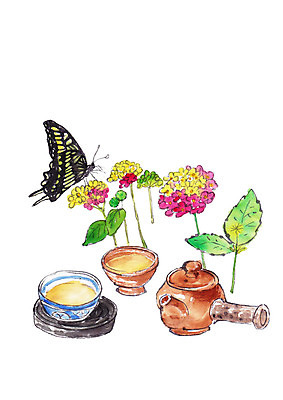 PSD 한마리 꽃잎 나비 일러스트 캘리그라피 붓터치 나뭇잎 사람없음 전통차 찻잔 다기 찻주전자 번짐 국내일러스트 1 꽃 곤충 잎 주전자 잔 차_음료 다도 파일형식 효과