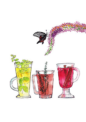 PSD 한마리 꽃잎 나비 일러스트 캘리그라피 붓터치 나뭇잎 잔 사람없음 전통차 번짐 국내일러스트 1 식기 꽃 곤충 잎 차_음료 파일형식 효과