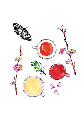 PSD 한마리 꽃잎 나비 일러스트 캘리그라피 붓터치 나뭇잎 사람없음 전통차 찻잔 번짐 꽃가지 국내일러스트 1 꽃 곤충 잎 잔 차_음료 나뭇가지 파일형식 효과