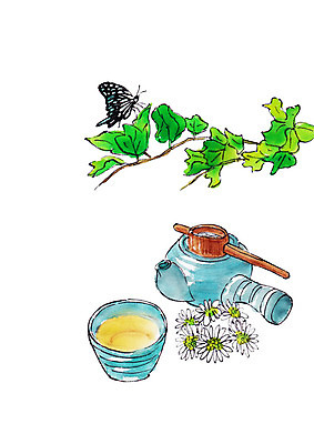 PSD 한마리 꽃잎 나비 일러스트 캘리그라피 붓터치 나뭇잎 사람없음 전통차 찻잔 다기 찻주전자 번짐 국내일러스트 1 꽃 곤충 잎 주전자 잔 차_음료 다도 파일형식 효과