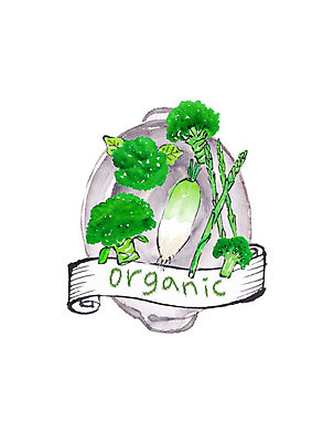 PSD 일러스트 식재료 캘리그라피 붓터치 사람없음 초록색 신선 브로콜리 무 유기농 아스파라거스 번짐 슈퍼푸드 국내일러스트 웰빙 컬러 채소 뿌리채소 건강식품 파일형식 효과