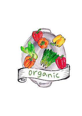 PSD 일러스트 식재료 캘리그라피 붓터치 파프리카 사람없음 신선 유기농 번짐 청경채 시금치 슈퍼푸드 국내일러스트 웰빙 채소 건강식품 파일형식 효과