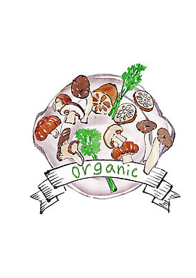 PSD 일러스트 식재료 캘리그라피 붓터치 사람없음 신선 유기농 번짐 표고버섯 연근 새송이버섯 슈퍼푸드 국내일러스트 웰빙 채소 버섯 건강식품 파일형식 효과