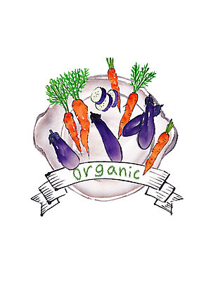 PSD 일러스트 식재료 캘리그라피 가지 붓터치 사람없음 당근 신선 유기농 번짐 슈퍼푸드 국내일러스트 웰빙 채소 뿌리채소 건강식품 파일형식 효과