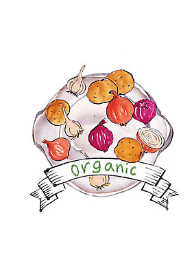 PSD 일러스트 식재료 캘리그라피 양파 붓터치 감자 마늘 사람없음 신선 유기농 번짐 적양파 슈퍼푸드 국내일러스트 웰빙 채소 건강식품 파일형식 효과