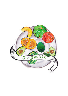 PSD 일러스트 식재료 캘리그라피 호박 붓터치 사람없음 신선 유기농 번짐 아보카도 단호박 슈퍼푸드 국내일러스트 웰빙 채소 과일 건강식품 파일형식 효과