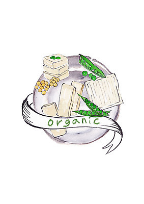 PSD 일러스트 캘리그라피 붓터치 콩 사람없음 신선 유기농 번짐 두부 강낭콩 슈퍼푸드 국내일러스트 웰빙 곡류 건강식품 파일형식 효과