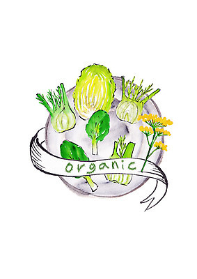 PSD 일러스트 식재료 캘리그라피 양파 붓터치 사람없음 초록색 신선 배추 유기농 번짐 청경채 쌈배추 슈퍼푸드 국내일러스트 웰빙 컬러 채소 건강식품 파일형식 효과