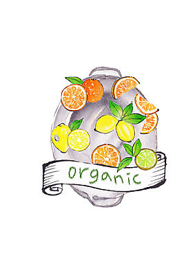 PSD 오렌지 일러스트 캘리그라피 붓터치 사람없음 신선 레몬 유기농 번짐 슈퍼푸드 국내일러스트 웰빙 과일 건강식품 파일형식 효과