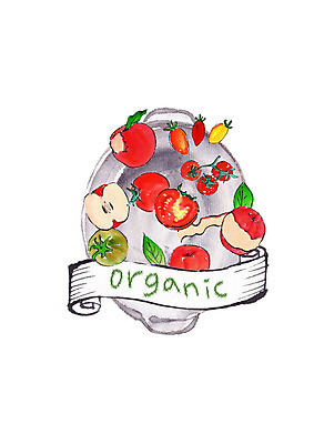 PSD 접시 일러스트 캘리그라피 방울토마토 붓터치 나뭇잎 사람없음 신선 사과 유기농 번짐 대추토마토 슈퍼푸드 국내일러스트 식기 웰빙 잎 토마토 과일 건강식품 파일형식 효과