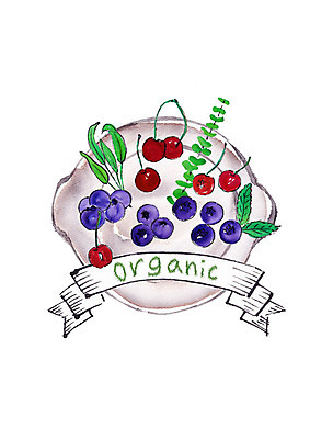 PSD 접시 일러스트 캘리그라피 붓터치 나뭇잎 사람없음 신선 체리 유기농 블루베리 번짐 슈퍼푸드 국내일러스트 식기 웰빙 잎 과일 건강식품 파일형식 효과