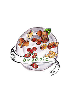 PSD 접시 일러스트 캘리그라피 붓터치 사람없음 신선 밤 유기농 땅콩 번짐 호두 아몬드 슈퍼푸드 국내일러스트 식기 웰빙 견과류 건강식품 파일형식 효과