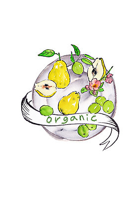 PSD 접시 꽃잎 일러스트 캘리그라피 붓터치 사람없음 신선 유기농 올리브 번짐 모과 슈퍼푸드 국내일러스트 식기 웰빙 열매 꽃 과일 건강식품 파일형식 효과