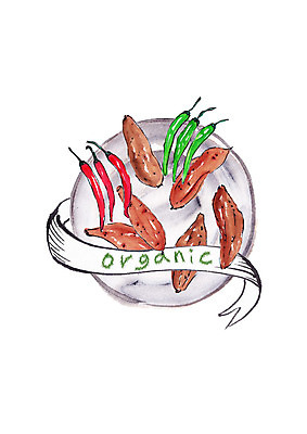 PSD 접시 일러스트 식재료 캘리그라피 붓터치 사람없음 여러개 신선 유기농 고구마 홍고추 번짐 풋고추 슈퍼푸드 국내일러스트 식기 웰빙 다수 고추 뿌리채소 건강식품 파일형식 효과