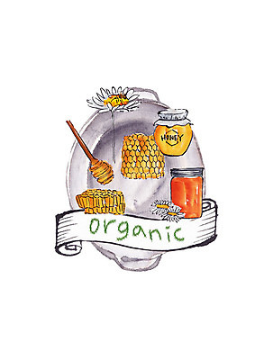 PSD 한마리 꽃 일러스트 캘리그라피 붓터치 사람없음 신선 꿀벌 병 유기농 번짐 꿀 벌집 꿀단지 허니디퍼 슈퍼푸드 국내일러스트 식물 1 식기 웰빙 도구 벌_곤충 건강식품 파일형식 효과