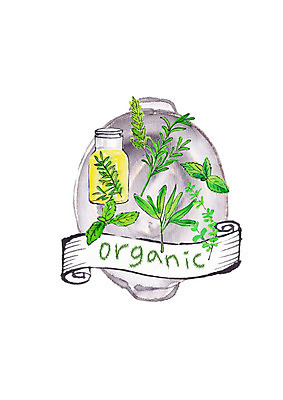 PSD 접시 일러스트 캘리그라피 붓터치 유리병 사람없음 신선 허브 유기농 번짐 찻잎 허브차 슈퍼푸드 국내일러스트 식물 식기 웰빙 병_용기 차_음료 건강식품 파일형식 효과