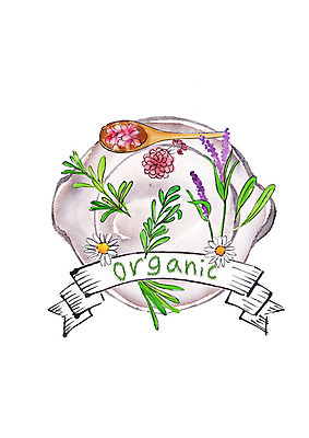 PSD 접시 꽃잎 일러스트 캘리그라피 붓터치 나뭇잎 사람없음 숟가락 신선 유기농 번짐 국내일러스트 식기 웰빙 꽃 잎 수저 파일형식 효과