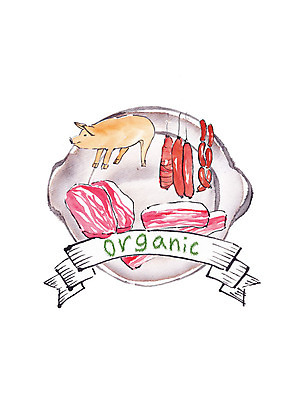 PSD 한마리 접시 일러스트 캘리그라피 붓터치 돼지고기 사람없음 신선 돼지 소시지 유기농 번짐 슈퍼푸드 국내일러스트 1 식기 웰빙 포유류 육류 가공식품 건강식품 파일형식 효과