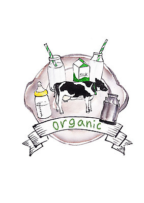 PSD 한마리 접시 일러스트 캘리그라피 붓터치 유리병 빨대 사람없음 우유 신선 젖병 젖소 유기농 번짐 우유통 슈퍼푸드 국내일러스트 1 식기 웰빙 병_용기 유제품 아기용품 소 건강식품 파일형식 효과