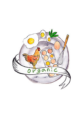 PSD 한마리 일러스트 캘리그라피 붓터치 사람없음 계란 신선 닭 계란프라이 유기농 번짐 거품기 삶은계란 슈퍼푸드 국내일러스트 1 웰빙 조류 주방용품 알 계란요리 건강식품 파일형식 효과