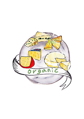 PSD 접시 일러스트 캘리그라피 붓터치 치즈 사람없음 신선 유기농 슬라이스 번짐 슈퍼푸드 국내일러스트 식기 웰빙 유제품 건강식품 파일형식 효과