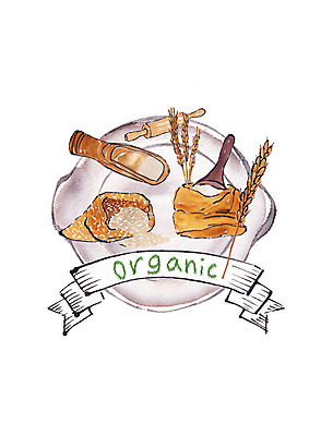 PSD 접시 일러스트 캘리그라피 붓터치 곡류 사람없음 신선 밀 유기농 번짐 밀가루 자루 반죽밀대 스쿱 슈퍼푸드 국내일러스트 식기 웰빙 가루 밀대 건강식품 파일형식 효과