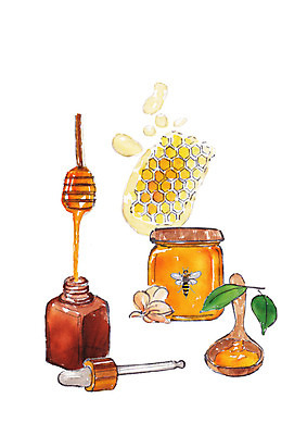 PSD 한마리 일러스트 나뭇잎 수채화 사람없음 뷰티 숟가락 화장품 꿀벌 번짐 벌집 꿀단지 벌꿀 에센스 천연화장품 허니디퍼 국내일러스트 1 잎 수저 도구 벌_곤충 꿀 파일형식 효과