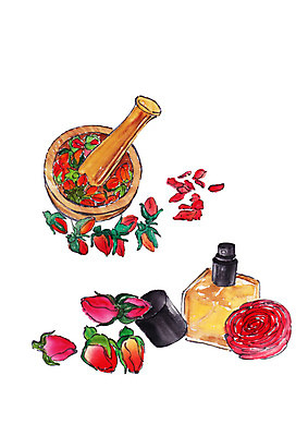 PSD 꽃잎 일러스트 수채화 사람없음 뷰티 장미 화장품 향수 꽃봉오리 번짐 막자사발 천연화장품 국내일러스트 꽃 사발 파일형식 효과