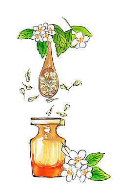 PSD 꽃잎 꽃 일러스트 나뭇잎 수채화 사람없음 뷰티 숟가락 화장품 번짐 공병 천연화장품 국내일러스트 식물 잎 수저 병_담는 파일형식 효과