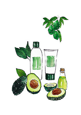 PSD 일러스트 나뭇잎 수채화 사람없음 뷰티 화장품 번짐 아보카도 유리용기 천연화장품 국내일러스트 잎 과일 용기_그릇 파일형식 효과