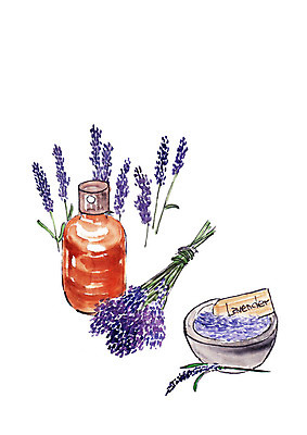 PSD 꽃잎 꽃다발 일러스트 수채화 사람없음 뷰티 화장품 사기그릇 향수 번짐 라벤더 천연화장품 국내일러스트 그릇 꽃 허브 파일형식 효과