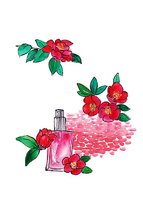 PSD 꽃잎 일러스트 수채화 사람없음 빨간색 뷰티 화장품 향수 번짐 동백 천연화장품 국내일러스트 꽃 컬러 파일형식 효과