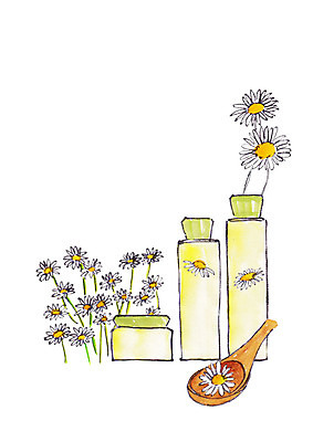 PSD 꽃잎 일러스트 수채화 사람없음 뷰티 숟가락 화장품 번짐 들국화 스킨로션 천연화장품 국내일러스트 꽃 수저 파일형식 효과