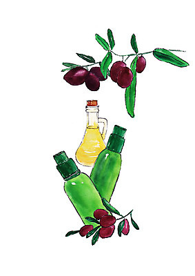 PSD 열매 일러스트 수채화 사람없음 뷰티 화장품 체리 번짐 유리용기 천연화장품 국내일러스트 식물 과일 용기_그릇 파일형식 효과