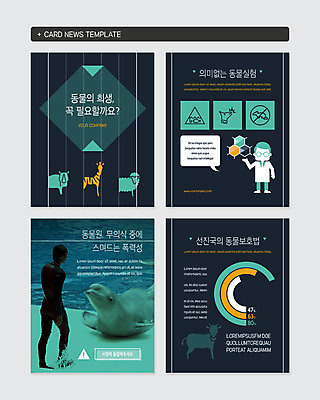 전신 PSD 동물 템플릿 남자 웹템플릿 그래프 사람 성인 두명 세트 폭력 과학자 돌고래 수족관 희생 동물보호 동물실험 동물조련사 조련사 성인남자만 카드뉴스 이미지템플릿 직업 과학 포유류 실험 수중동물 사회이슈 학자 남자만 성인만 파일형식