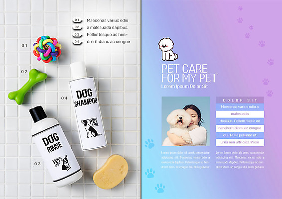 PSD 템플릿 우먼라이프 표지디자인 북디자인 출판디자인 여자 행복 내지 리플렛 두마리 2단접지 북커버 안기 한명 미소 사람 팜플렛 상반신 20대 성인 앞모습 장난감 보라색 한국인 흰색 강아지 애견용품 개발자국 반려 펫케어 싱글라이프 성인여자한명만 애견샴푸 애견린스 이미지템플릿 반려용품 1 라이프스타일 감정 뷰포인트 컬러 2 모션 표정 관리 동양인 청년 반려동물 개 발자국 오브젝트 여자한명만 성인여자만 파일형식