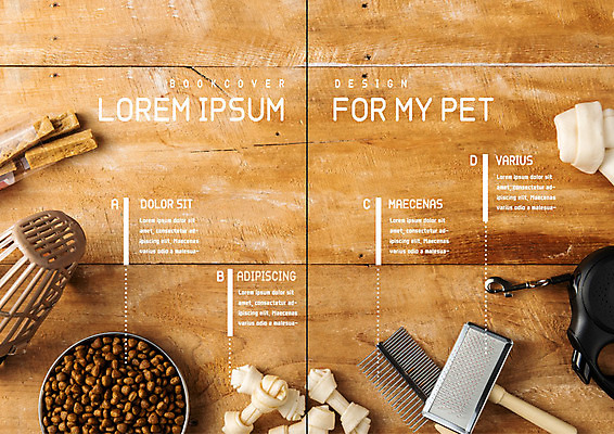 PSD 템플릿 표지디자인 북디자인 출판디자인 내지 리플렛 2단접지 북커버 팜플렛 사람없음 갈색 개목걸이 개사료 애견간식 애견빗 애완용사료 펫케어 플랫레이 갈색배경 나무배경 이미지템플릿 컬러 백그라운드 관리 플랫 먹이 애견용품 파일형식