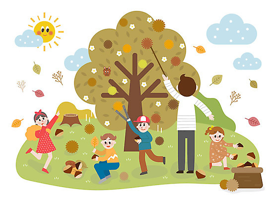 전신 학생 여자 남자 어린이 단풍 낙엽 일러스트 집게 서기 사람 앉기 여러명 성인 야외 바구니 가을풍경 교사 가을 체험학습 밤 밤송이 밤나무 가을소풍 밤따기 밤줍기 국내일러스트 AI파일 나무 직업 계절 다수 잎 모션 풍경 소풍 견과류 체험 밤_견과류 파일형식 벡터 줍기 가을_계절