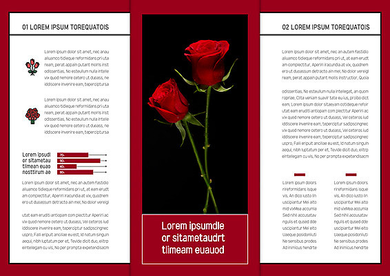 템플릿 북디자인 출판디자인 내지 리플렛 꽃다발 북커버 3단접지 그래프 팜플렛 사람없음 빨간색 장미 이미지템플릿 AI파일 꽃 컬러 파일형식 벡터