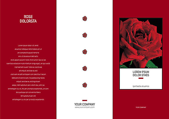 템플릿 표지디자인 북디자인 출판디자인 표지 리플렛 북커버 3단접지 팜플렛 사람없음 빨간색 장미 흰색 배열 이미지템플릿 AI파일 꽃 컬러 파일형식 벡터