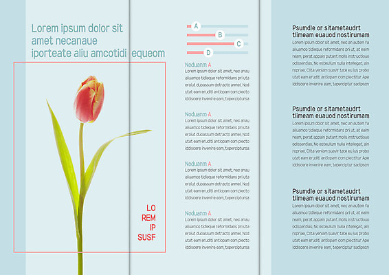 템플릿 북디자인 출판디자인 내지 선 리플렛 하늘색 한송이 북커버 3단접지 그래프 사각프레임 팜플렛 사람없음 튤립 이미지템플릿 AI파일 1 꽃 프레임 파란색 사각형 송이 파일형식 벡터