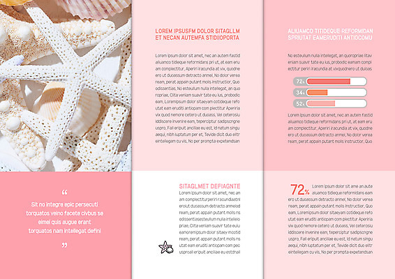 템플릿 북디자인 출판디자인 내지 리플렛 분홍색 여행 북커버 3단접지 그래프 불가사리 팜플렛 사람없음 조개껍데기 이미지템플릿 AI파일 컬러 조개 극피동물 파일형식 벡터