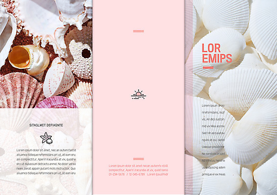 템플릿 표지디자인 북디자인 출판디자인 표지 리플렛 분홍색 여행 북커버 3단접지 불가사리 팜플렛 사람없음 여러개 조개껍데기 소라 이미지템플릿 AI파일 컬러 다수 조개 어패류 극피동물 파일형식 벡터