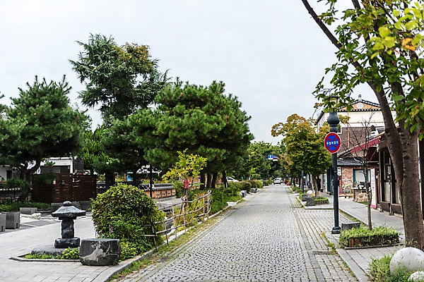 포토 JPG 주간 나무 한국전통 여행 가로등 거리 풍경 사람없음 야외 조경 전주 전주한옥마을 국내포토 자연요소 식물 전통 공공시설 한국 전라북도 한옥마을 파일형식