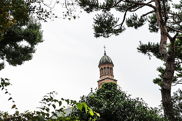 포토 JPG 주간 한국전통 여행 십자가 하늘 풍경 사람없음 야외 성당 문화재 나뭇가지 소나무 전주 전동성당 국내포토 자연요소 나무 전통 종교건축 한국 전라북도 파일형식